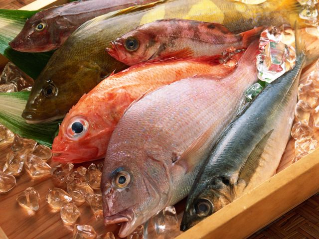 Готовим рыбу правильно: рецепты жареной рыбы